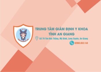 Nhiệm vụ, quyền hạn, mối quan hệ công tác và hoạt động của Hội đồng Giám định y khoa các cấp